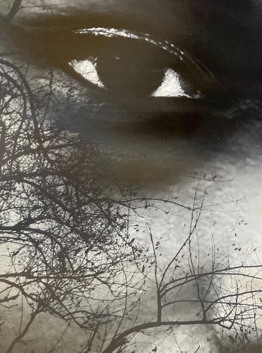 Opening Reception, with Venus Bernardo titled: A Matter of Perspective