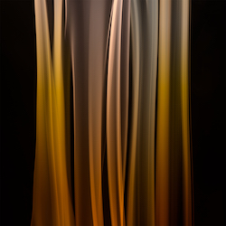 Featuring: Carol Inez Charney: Imprint of Silence