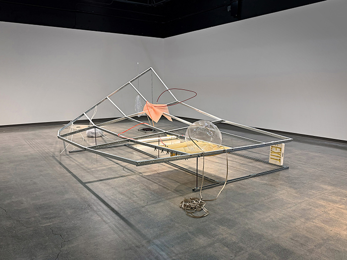 Opening Respetion for "Strange Hum" presented  by The Quasi-Optimist Research Group (QORG)