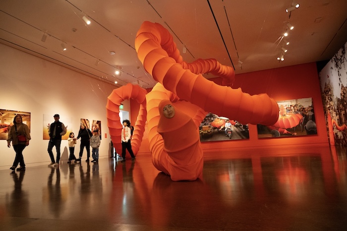 Opening Reception for "Anida Yoeu Ali: The Buddhist Bug"