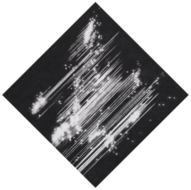 Raquel Maulwurf: The Collective Memory Archive